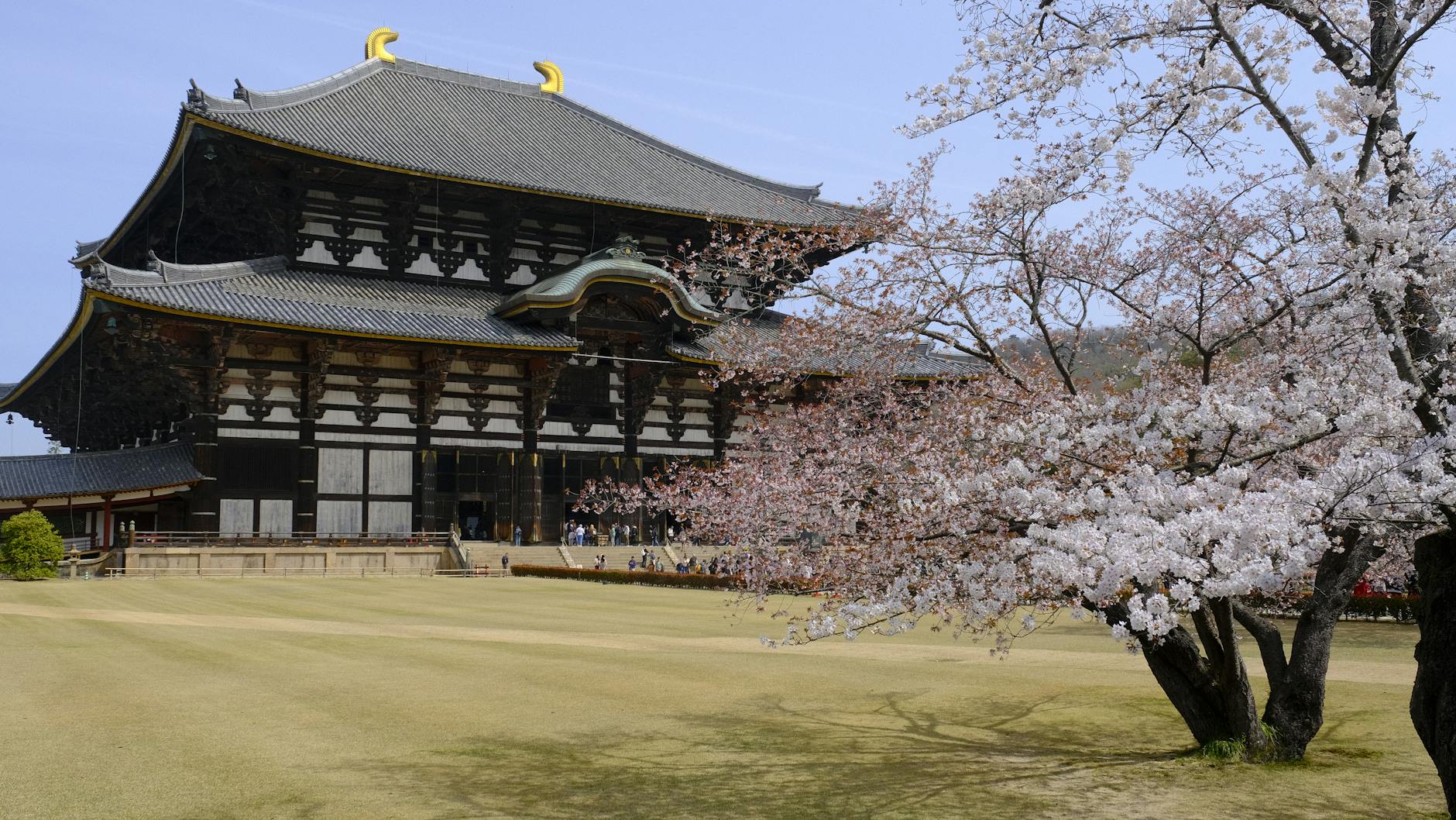 日本の古都・奈良の春の伝統行事と観光スポット巡り